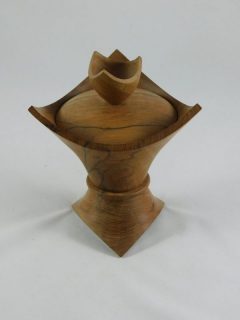 Advanced-1st-scaled